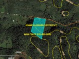 SHERWOOD CONTENT, Trelawny, Jamaica - Commercial/farm land for Sale